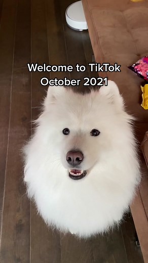 I’m so sorry little one 🎃