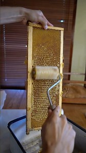 Collecting Beeswax #beekeeper #beeswax #honey #beekeeping #honeyharvest