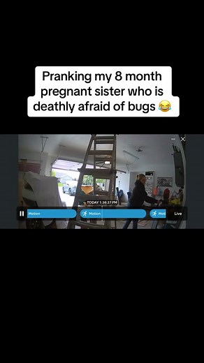 Pranking My Pregnant Sister with a Scary Bug Reaction