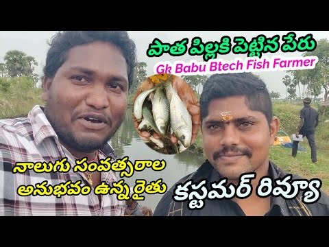 Four years experience In Fish Pond | Customer Reviews | GK Babu Btech Fish Farmer