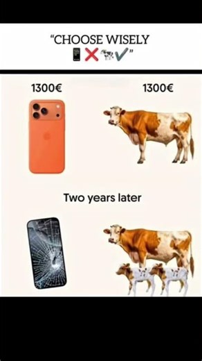 Choose Wisely 😮📱 vs 🐄 | Asset or Liability After 2 Years?