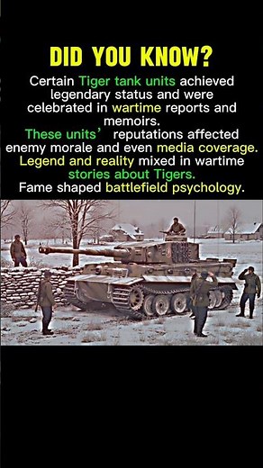 The Tiger Tank Units That Became Legends