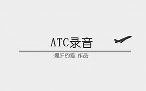 【ATC录音】第91期：我又不是大韩机长，离了GPS照样正常落地（全程字幕 翻译）