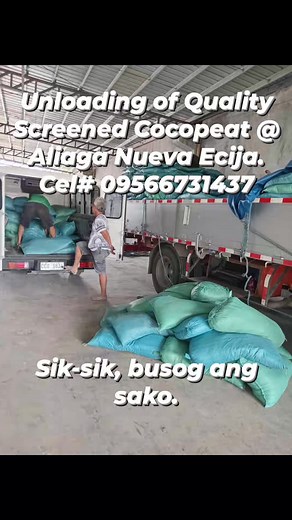 Quality Screened Cocopeat. Sik-sik, busog ang sako. Cel# 09566731437 #friends #cocopeat #followers #everyone #follower #highlight #hilightseveryonefollowers #followerseveryone | Hvc Agriculture