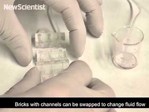 Lego-like bricks could build bendy robots (video)