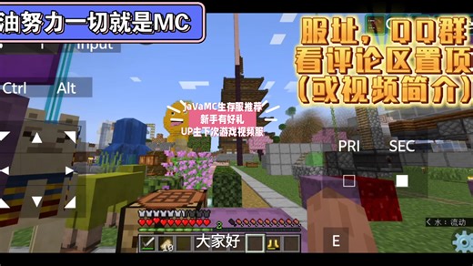 Java1.21生存服推荐 下次游戏视频服务器 求关注，谢谢