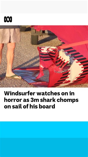 An Esperance windsurfer watched in horror as a 3-metre shark tore through his sail and then circled him for five minutes as he sat on his board. 📝 Emily JB Smith 🎞️ Anthony Pancia #ABCNews #PerthNews #EsperanceWA #Shark #GreatWhite #Windsurfer #Windsurfing #Sharks | ABC Perth