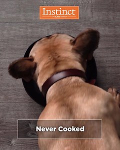 93 reactions · 38 comments | Change your pet’s life. Feed them the unmatched nutrition of Instinct® raw, found online or at your local retailer. | Instinct | Facebook