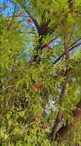 #gautambudhastory #explore #nature #love #motivation #positivevibes #😊