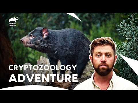 Forrest Galante Investigates Reports of Tasmanian Tiger | Extinct Or Alive S1 E 8,7,6| Animal Planet