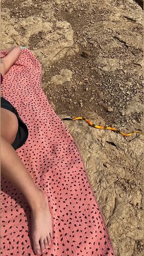 5M views · 3K reactions | They pulled a snake over her!  | Best Videos | Facebook