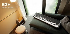 B2  - DIGITAL PIANO | KORG (Taiwan)