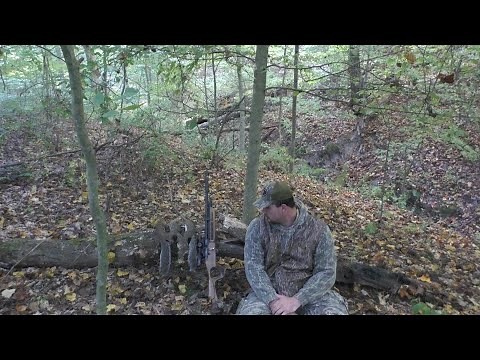 PCP Air Rifle Squirrel Hunt! Is This The ULTIMATE Squirrel Rifle?