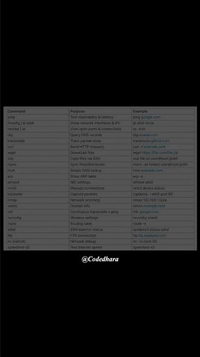 These commands make you dangerous (in a good way) 💻 #coding #youtubeshorts #programming #shorts
