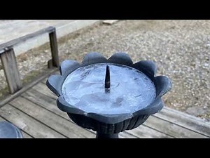 How Birds Beat the Cold: A Wild Nature Story