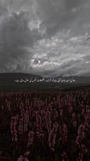 😭 . fyp#Foryou #viral # error._021#Broken # don't under review My Video please