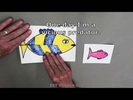 Cool predator vs prey activity. #predator#predatorvsprey#adaptations#edutainment#foodchain