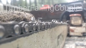 How to File Chainsaw Chain [square ground] In this video we talk about angles, file selection, filing technique, when and why to select square chain, grind characteristics etc including a demonstration of the cutting characteristics of square ground chain. | Timber Falling Couple