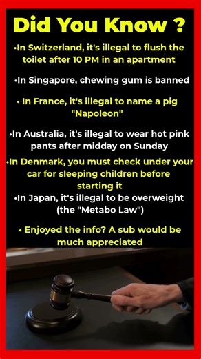 Bizarre Laws That Still Exist Today Around The World ⚖️😂