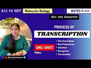 Process of Transcription ||One-Shot || Structural gene,Initiation,Elongation, termination