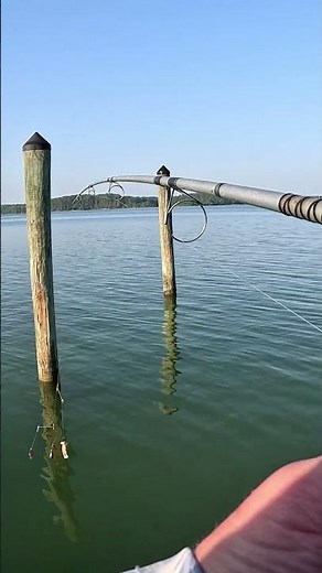 the perfect cast setup #fishing #technique