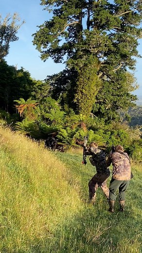 6.2K views · 832 reactions | Bow hunting perfect scenario. Noah’s first goat #bowhunting #bowhintingnz @advancedarcherynz | Clarke Boys Hunting NZ | Facebook