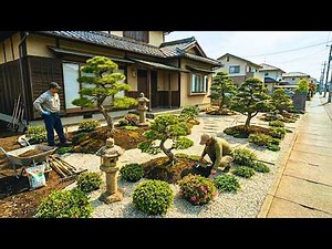 Niwaki Style Japanese Garden Builds: Timelapse Transformations