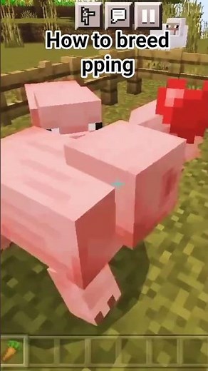 How to breed pig in minecraft