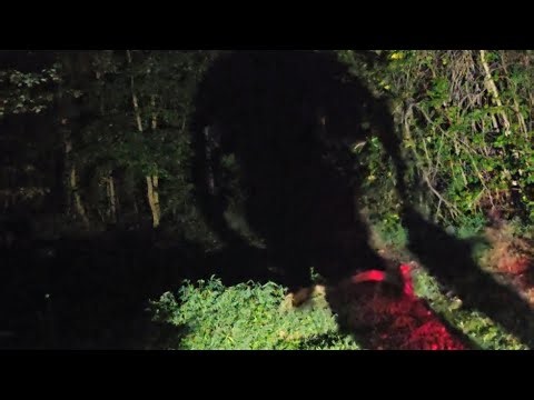 #(KEENER) SHADOW MAN GROUNDHOG!!!!