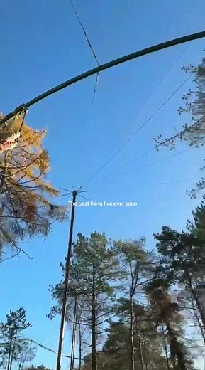 Exploring Tree Top Gliders at Center Parcs Elvedon