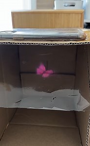 Make a homemade projector!