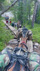 Marc Warnke on Reels