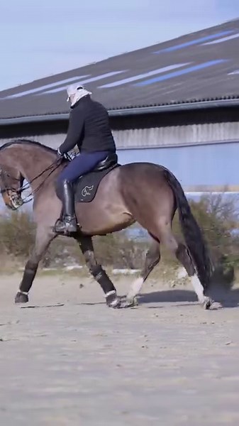 Kurze Einblicke in unser Training , wollt Ihr mehr | Sebastian Marx