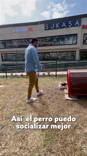 22K views · 569 reactions | ¿Cómo se usa el parque de las mascotas? Aquí los detalles  | RED Informativa | Facebook