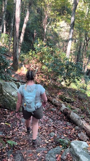 We do love a nice hike in the woods… or basically anywhere #hiking #addicted #adventuregirlies