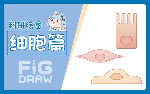 【Figdraw】AI科研绘图：细胞篇（2）（附源文件）