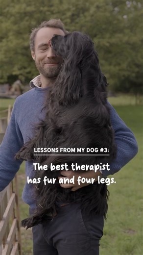 James & Ella on Instagram: "Lessons from my dog #3 goes without saying: the best therapist has fur and four legs 🐾 I know a lot of you can relate to this one. Let me know in the comments how your dog has helped you 💙"