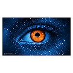 Similarweb Web Intelligence 4.0: Data You Can Trust to Help You Win Your Market