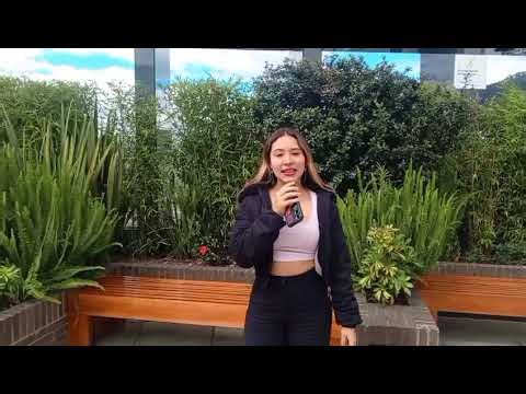 HashSet y TreeSet en Java