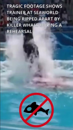 Killer Whale Snaps During Performance 😱