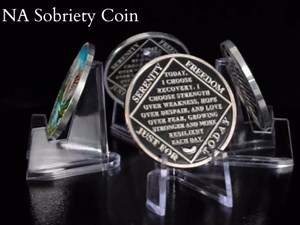 NA Sobriety Coin - NA Medallions with Wings and Scenic Sobriety Chips NA Coins - Ideal Narcotics Anonymous Gifts for Men ＆ Women Celebrating Recovery and Living Clean (34 Year)