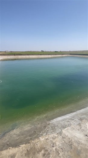 rain water harvesting irrigation system #rain #irrigation #agriculture #shorts #youtubeshorts