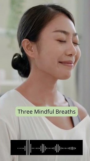 Mindfulness Exercises - Guided Meditation