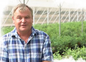 Getting a Successful Soilless Blueberry Operation in Optimal Growin...