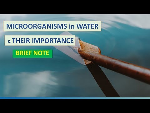 MICROORGANISMS IN WATER & THEIR IMPORTANCE (brief note) - ENVIRONMENTAL MICROBIOLOGY (applied MB)