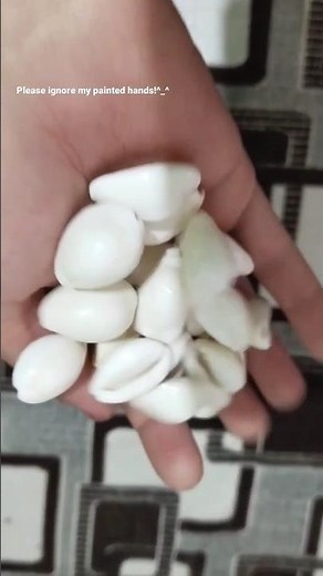 How to make hole in *cowrie shell* 🐚 #diy #cowrieshell #tutorial #easy #viralshorts #reels #doiteasy
