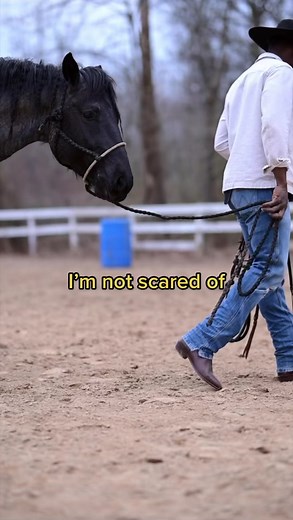 Couldn’t imagine it. Wouldn’t want to have to. #horsetok #aqha #quarterhorse #aqhastallion #cowboys #westernfashion