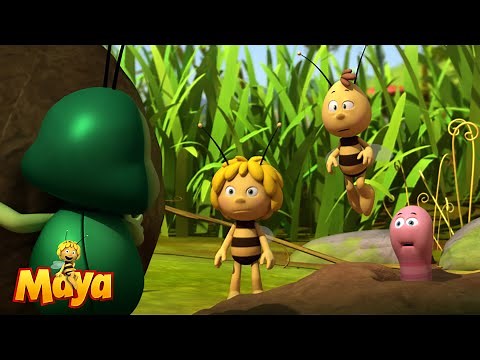 Willi und der verlorene Schatz! - Die Biene Maja🐝🍯🐝 - FULL COMPILATION