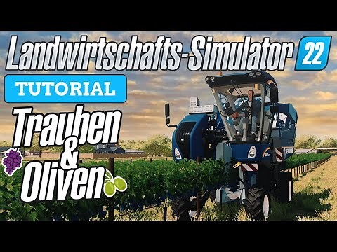 Farming Simulator 22 Grapes & Olives - How to plant, care for and harvest grapes & olives in Farm...