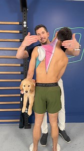 240K views · 680 reactions | Do you have tight, painful upper traps? Find a puppy and we’ll help you out with that! Ok, ok, you can use a weight or a heavy grocery bag or whatever you’ve got to allow for lengthening those upper traps. Hold puppy doggie in your left arm and let that soft, furry weight pull your arm down as you tilt your head right. You can even gently rotate your head back and forth. Honey says, “Woof Yo S#!t!.” Listen to Honey. | MoveU | Facebook